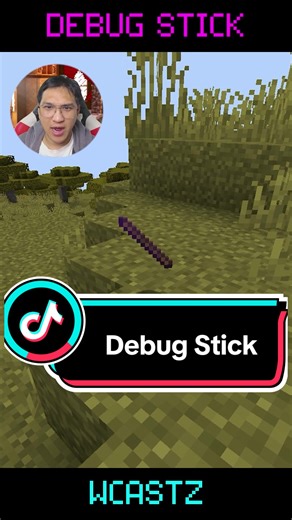 Mastering the Debug Stick in Minecraft