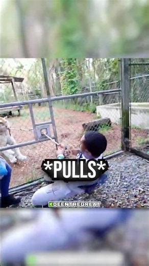 DeenTheGreat Tries To Pull A Tiger 😭