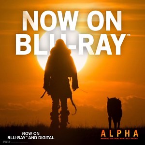 28K views · 462 reactions | Go on a wild adventure with man's best...