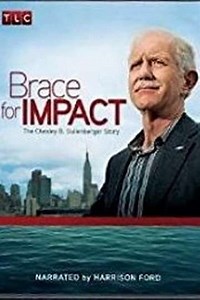 Brace for Impact: The Chesley B. Sullenberger Story (2010) - Movie