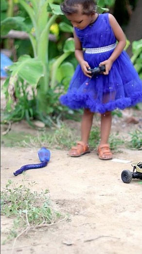 Remote Control Snake🐍