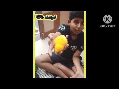 New cute colored chicks upd!!! #shorts #cuteanimals