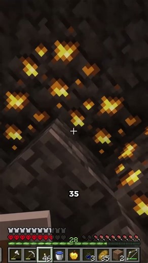 Wisp encounters a HUGE spyder 😱