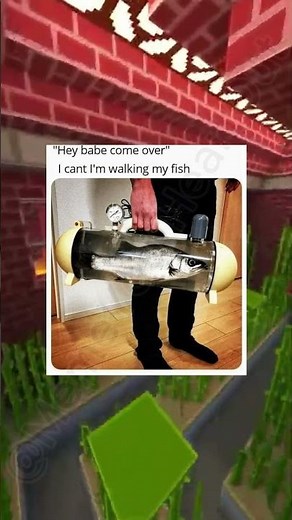 Fish Memes