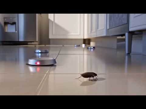 Smart Robot Kills Cockroaches Instantly!