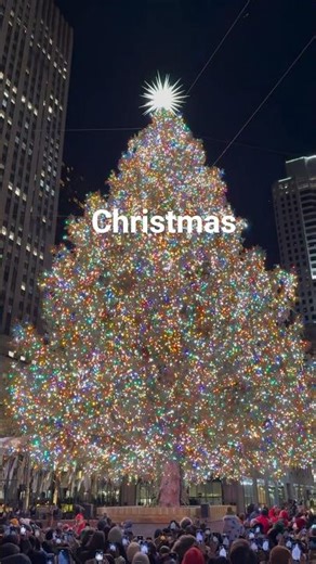 HAPPY HOLIDAY|MERRY CHRISTMAS 🌲#christmas