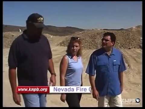 Virgin Valley Black Fire Opal