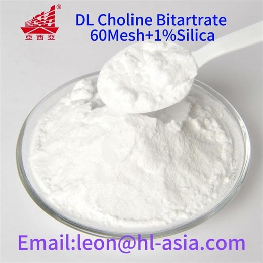 DL Choline Bitartrate 60 Mesh + 1% Silica: Enhanced Flowability for Supplement Manufacturing