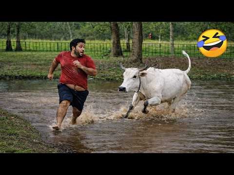 Try Not To Laugh 🤣 Top 100 Funniest Videos Ever | Memes, Epic Fails & Pranks Compilation 2026 Part 2