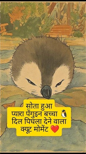 Sleeping Baby Penguin 🐧💤 | Heart-Melting Cute Moment ❤️ #hearttouching #cuteanimals