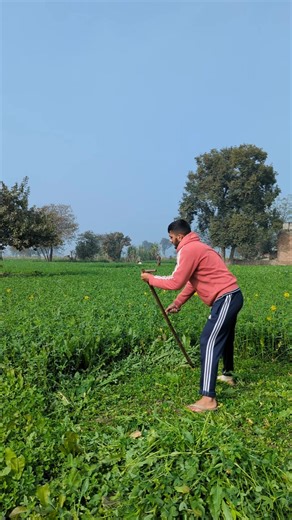 Alimayo Stoper: Kabaddi Player Highlights