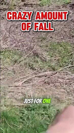How to Install an Open French Drain in Your Backyard