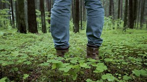 Man feet walking through the forest - Free Stock Video