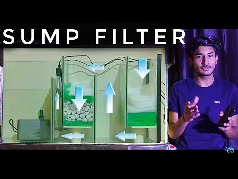 HOW Sump Filter Works In Aquarium : Sump Filter Process And Use In Aquarium : FULL Guide On Sump