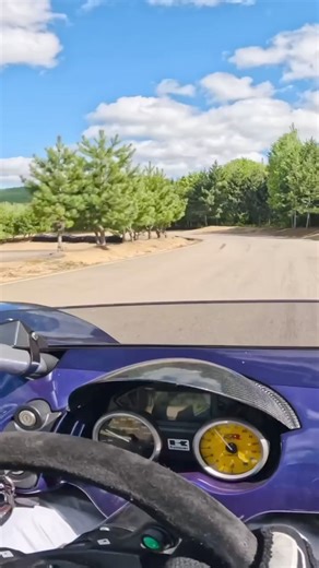 5.8K views · 91 reactions | T-REX RR in its natural habitat. #campagnamotors #trex #lapping #mecaglisse #racing #trackcar #trackfun | Campagna T-REX | Facebook