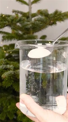 Keep Your Christmas Tree Fresh Longer. Simple Water Trick! #ChristmasTree #HolidayHacks #FreshTree