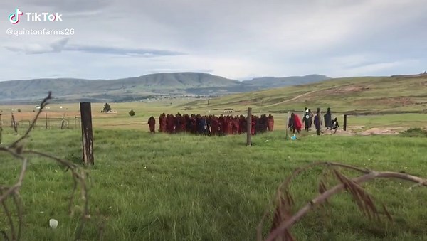 Makolwane: Explore Sesotho Culture and Traditions
