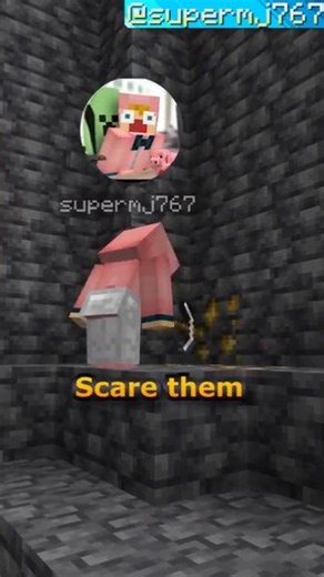 FACECAMS In MINECRAFT! 🫨