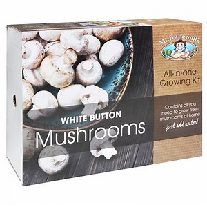How to Grow White Button Mushrooms