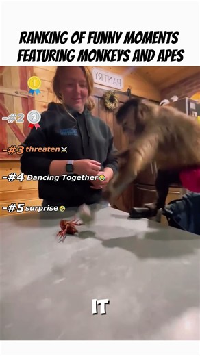 Ranking of funny moments featuring monkeys🐵 and Apes🦍#shorts#funny#animal
