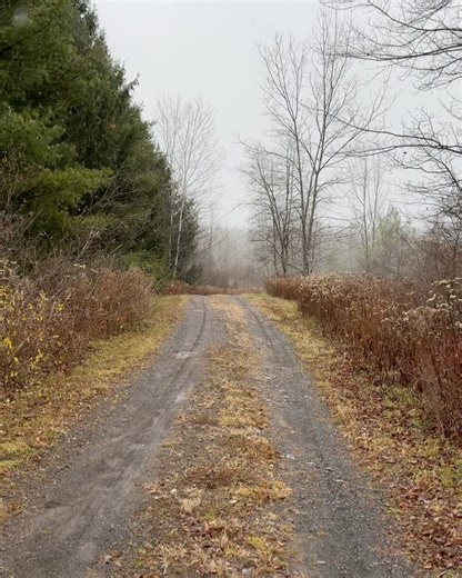 Coldwell Banker Village Green Realty | 🏔️ A Catskills Chalet With Style 🏔️ 📍Jewett, NY Real Estate Set on 5 private acres between Hunter ⛷️ & Windham 🚠 , this wholly modern... | Instagram