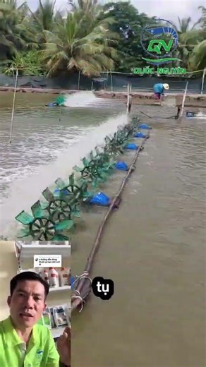 EFFECTIVE METHODS TO REDUCE NO2 IN EARTHEN PONDS USING MICROORGANISMS AND OXYGEN TABLETS