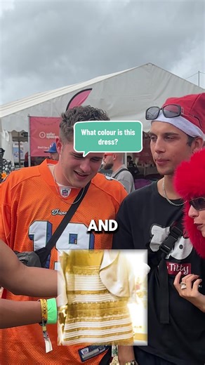 Challenging Mind Game: What Colour is This Dress?