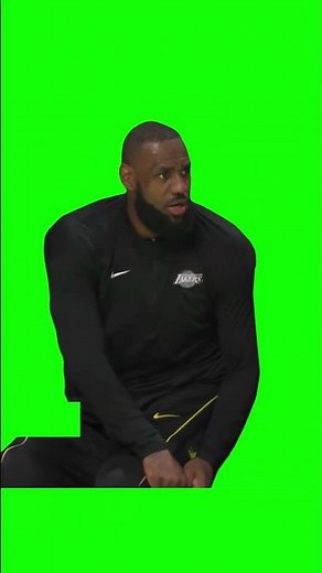 lebron james yes sir meme green screen