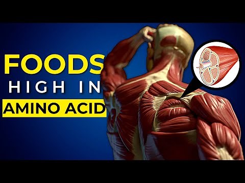 10 Foods High In Amino Acids That You Should Be Eating