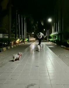 34K views · 1K reactions | Working out is easier when you've got your best friend by your side. | Monica Bedi | Facebook