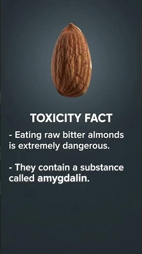 toxic side effects of eating raw bitter almonds #usa #unitedstates #america @Fact_Paw