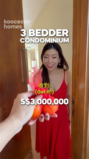 Koocester Homes | This Chinese New Year, I managed to get a house tour of this Freehold condominium at Woodleigh! Happy Chinese New Year everyone! To find... | Instagram