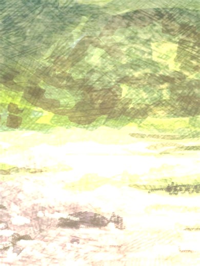 armadillo walk cycle #2danimation #animation #disney #artist #wildlife #handdrawnanimation #art #brotherbear #brazil #armadillo