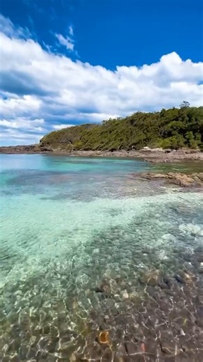 👣🌊 We've found another slice of paradise on the South Coast! Bushrangers Bay Aquatic Reserve in Shellharbour, NSW, Australia – where the stroll is scenic, and the vibes are off the charts. 🐚💙 Thanks for sharing your #feelNSW moment IG/natraffexplores ID: A person walks to a beach in Shellharbour followed by a panning shot of the water. | Visit NSW