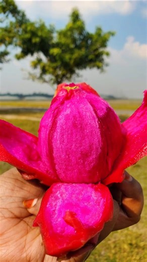 Mouth Watering Dragon Fruit Masala 😋 #shorts #food #viral #dragonfruit #fruit