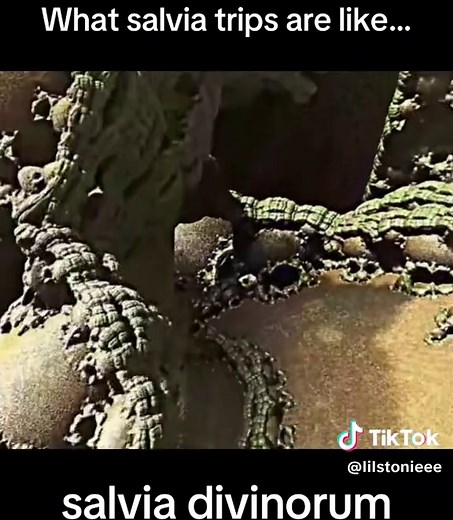 Experiencing Salvia Trips: What to Expect