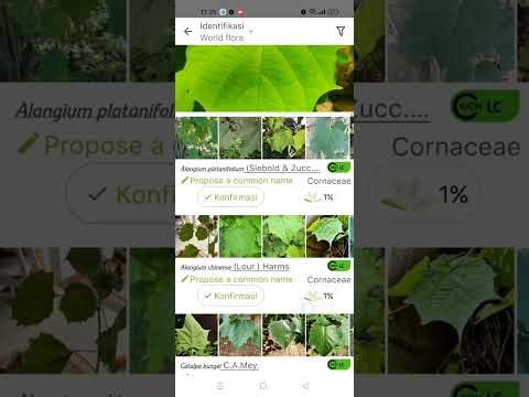 Tutorial penggunaan aplikasi PlantNet