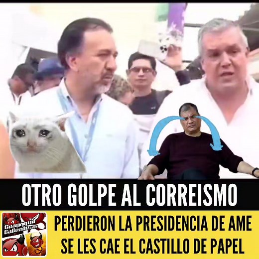 Patricio Maldonado Es Elegido Presidente de AME