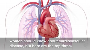 8.4K views · 148 reactions | All women face the threat of heart disease, which is the No. 1 killer of Americans, according to the CDC. Cardiologist Dr. Amy Pollak, says there are many important things women should know about heart disease. https://mayocl.in/2ScJjUq | Mayo Clinic | Facebook