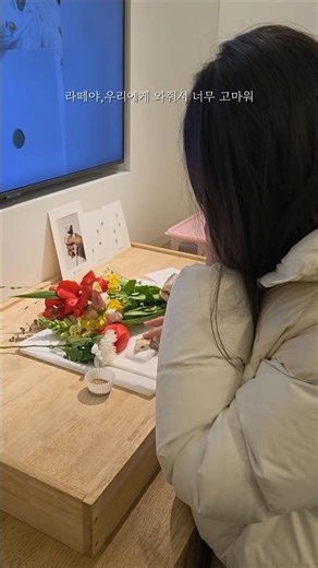우리 게코도마뱀 라떼, 크레별에서 행복하길..