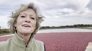 Honestly Cranberry - Unsweetened Dried Cranberries - No Added Sugars, Juices, or Oils - Non-GMO - Wisconsin Grown (3 oz)