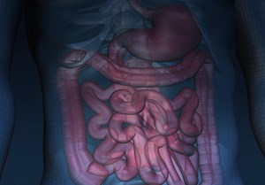 Controversies in Gastroenterology-Directed Propofol Administration