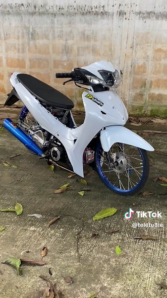 สโนไวท์ลงไม่พัก: สนุกกับชีวิตที่มีสีสัน