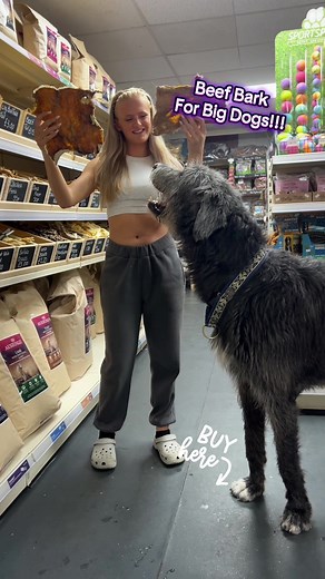 Irish Wolfhound: The Might of Massive Dogs