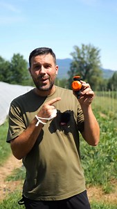 66K views · 3.3K reactions | Timer Meccanico senza batte per il giardino, il terrazzo e l’orto: la soluzione a tutti i problemi di irrigazione! Lo trovi su @claber.it #mattthefarmer #claber #adv | Matt The Farmer | Facebook