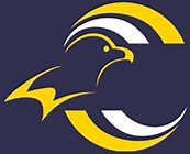 Bring Your Own Device