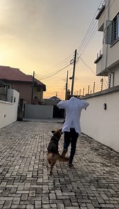 The Dog Att@ck€D it's Doctor 😳😳, Did the doctor do too much ? | Frankie Seeka TV