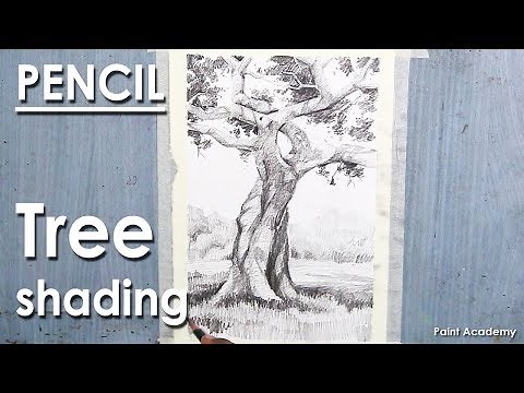 Pencil Drawing : Tree | Tree Trunk shading techniques