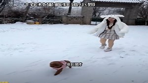 被回忆的一些事_所以沐梓熊最后为什么这么快？_电视剧