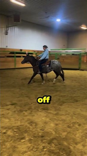 She Fell Off Her Horse But What Happened Next Shocked Everyone #petshub